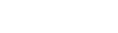 light logo